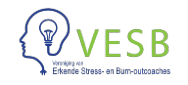 25 05 04_logo VESB