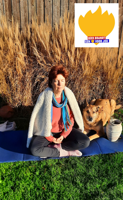 25 12 02_Medi Hond Vlam-2 25 12 02_Medi Hond Vlam-2